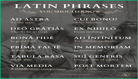 A Profile Of A Latin Beauty