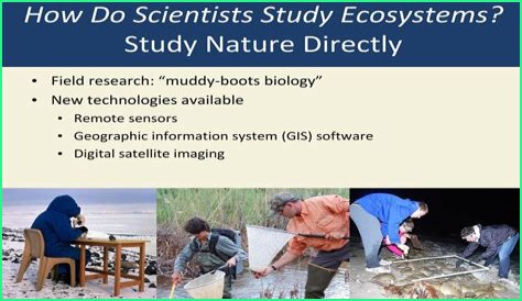 How do scientist examine the working of the natural world?